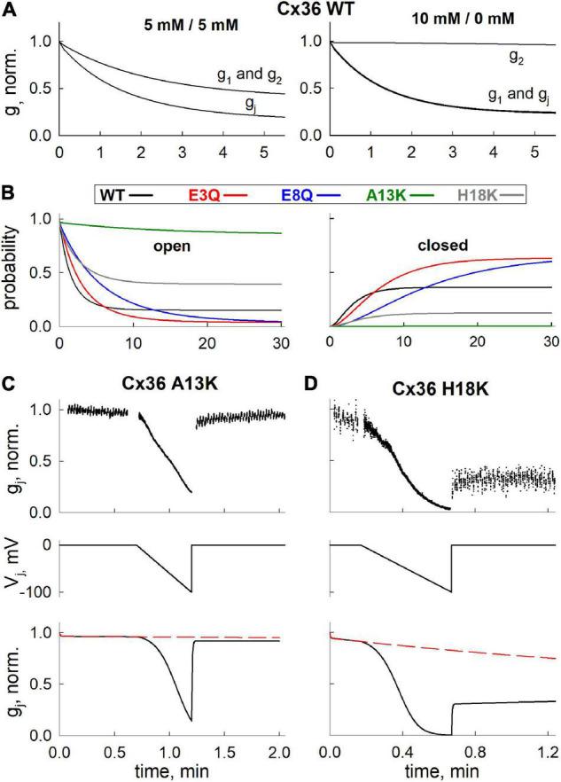 https://cdn.ncbi.nlm.nih.gov/pmc/blobs/692c/8899287/dc87c42454d4/fphys-13-839223-g005.jpg