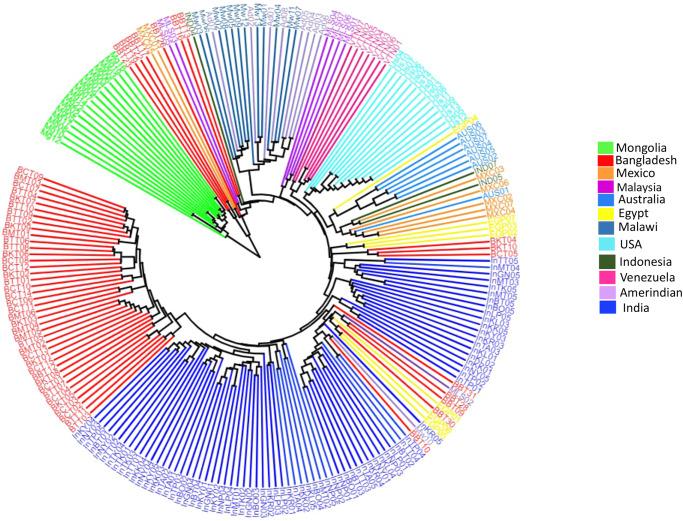 https://cdn.ncbi.nlm.nih.gov/pmc/blobs/692e/11045797/e96ec21a7059/42003_2024_6191_Fig8_HTML.jpg
