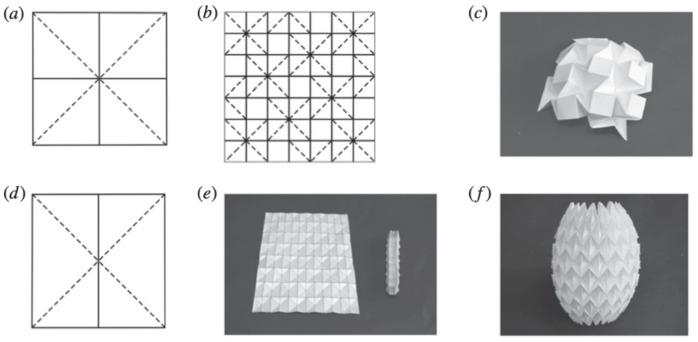 https://cdn.ncbi.nlm.nih.gov/pmc/blobs/692f/11505286/e83174fd1f6d/biomimetics-09-00600-g004.jpg