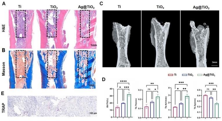 https://cdn.ncbi.nlm.nih.gov/pmc/blobs/692f/12112536/189aaa1264e3/jfb-16-00162-g007.jpg
