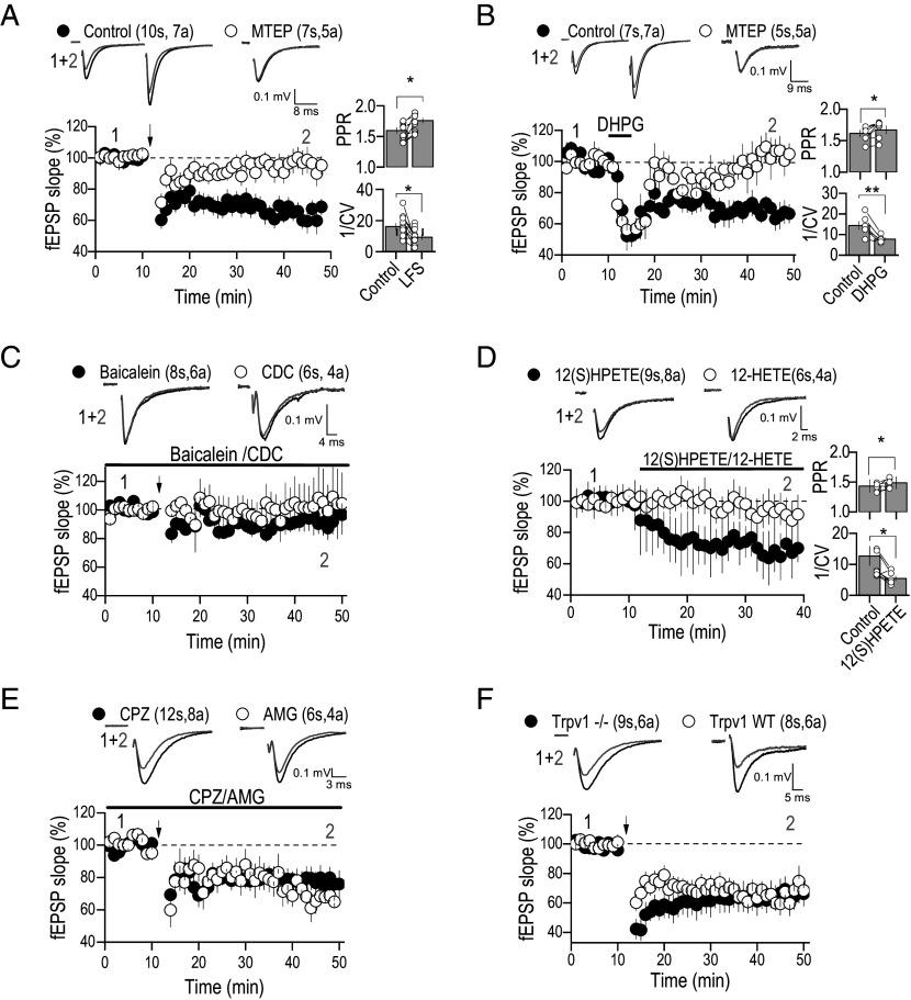 https://cdn.ncbi.nlm.nih.gov/pmc/blobs/6930/11745352/e4541189d07b/pnas.2411506122fig01.jpg