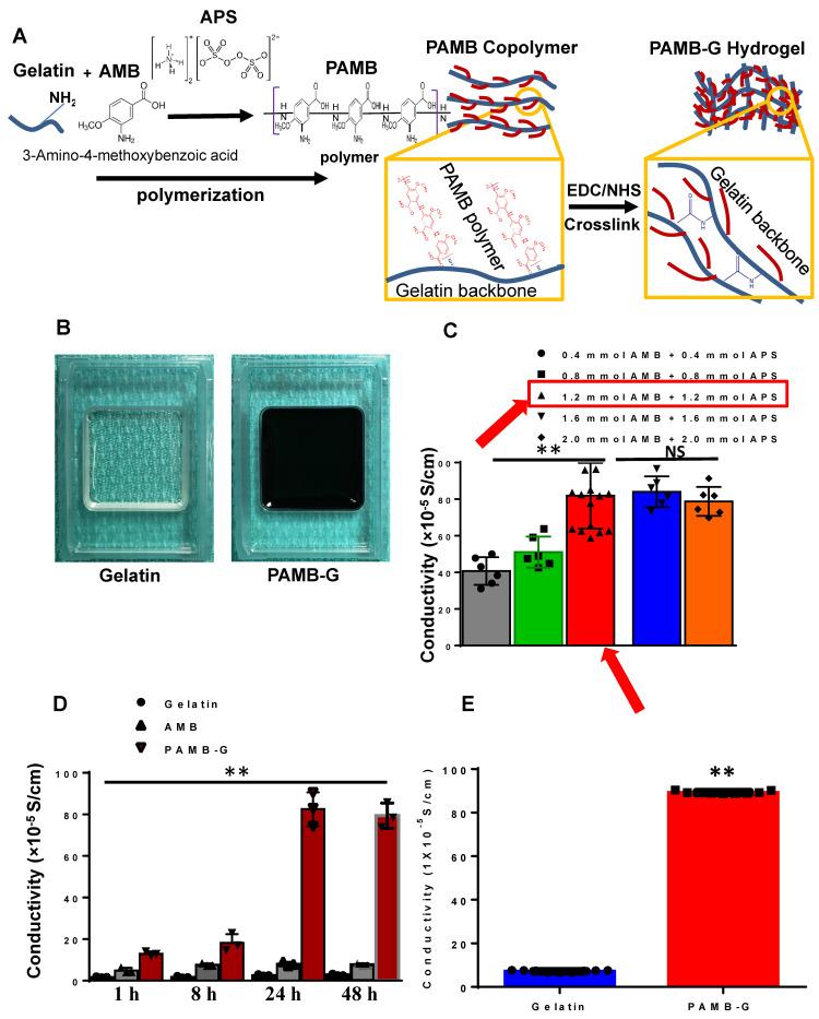 https://cdn.ncbi.nlm.nih.gov/pmc/blobs/6930/7914366/64441d383934/thnov11p3948g001.jpg