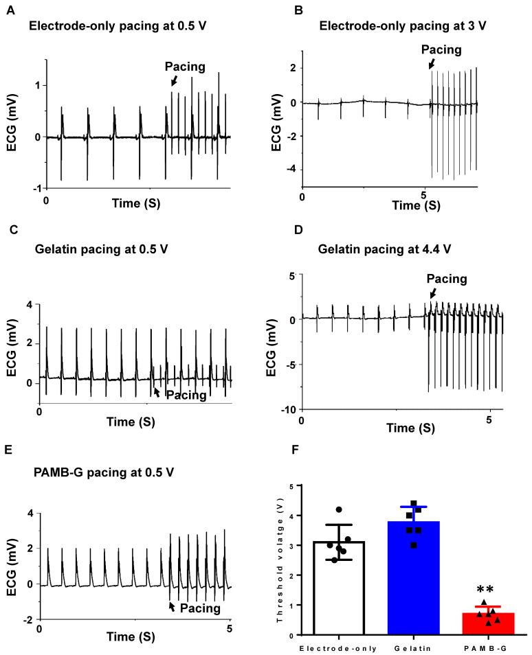 https://cdn.ncbi.nlm.nih.gov/pmc/blobs/6930/7914366/acdde8749979/thnov11p3948g005.jpg