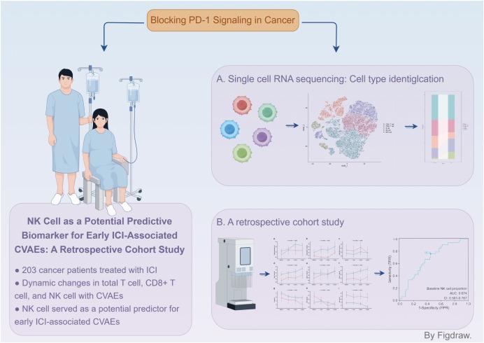 https://cdn.ncbi.nlm.nih.gov/pmc/blobs/6931/12307152/1e7c0970a38e/fonc-15-1556373-g007.jpg