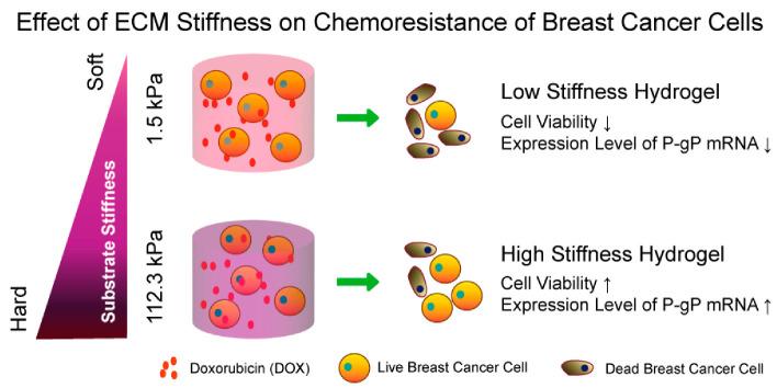 https://cdn.ncbi.nlm.nih.gov/pmc/blobs/6931/12383573/5f9ce46e316f/biomedicines-13-01899-g002.jpg
