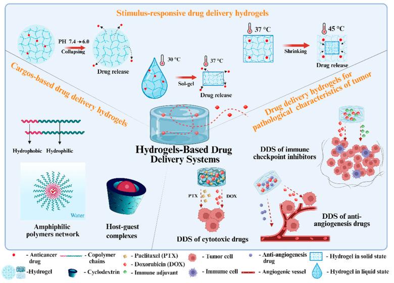 https://cdn.ncbi.nlm.nih.gov/pmc/blobs/6931/12383573/621ecf47e86f/biomedicines-13-01899-g001.jpg