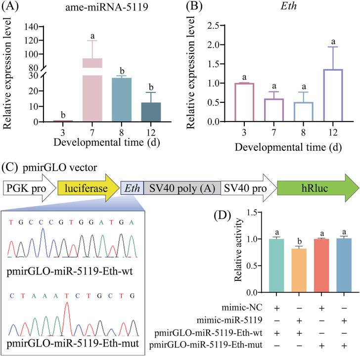 https://cdn.ncbi.nlm.nih.gov/pmc/blobs/6933/11470490/40927445a9a5/fphys-15-1475306-g002.jpg