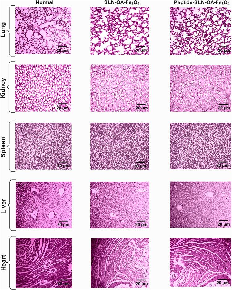 https://cdn.ncbi.nlm.nih.gov/pmc/blobs/6935/12059910/2584211b6aa8/ao4c10153_0009.jpg