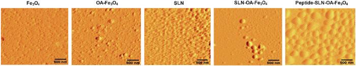 https://cdn.ncbi.nlm.nih.gov/pmc/blobs/6935/12059910/4466891068cd/ao4c10153_0002.jpg