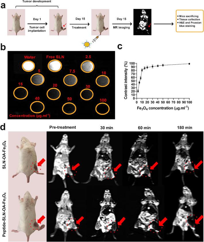 https://cdn.ncbi.nlm.nih.gov/pmc/blobs/6935/12059910/4b537858c663/ao4c10153_0005.jpg