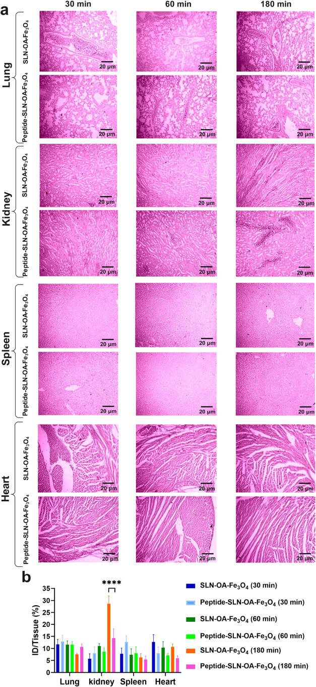 https://cdn.ncbi.nlm.nih.gov/pmc/blobs/6935/12059910/5992531644dc/ao4c10153_0008.jpg