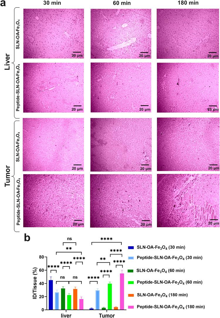 https://cdn.ncbi.nlm.nih.gov/pmc/blobs/6935/12059910/fc7c6c466791/ao4c10153_0007.jpg