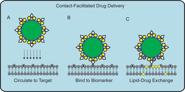 https://cdn.ncbi.nlm.nih.gov/pmc/blobs/6935/2676820/a480215bbc80/ijn-2-515f9.jpg