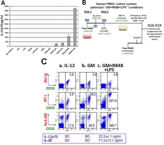 https://cdn.ncbi.nlm.nih.gov/pmc/blobs/6935/5355224/4e17107c24af/oncotarget-08-10785-g001.jpg