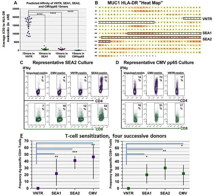 https://cdn.ncbi.nlm.nih.gov/pmc/blobs/6935/5355224/751b7a49a56e/oncotarget-08-10785-g003.jpg