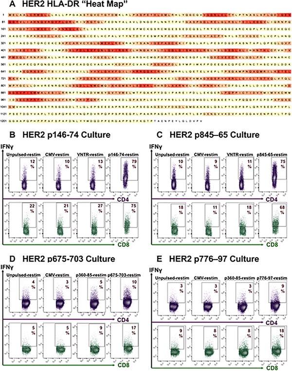 https://cdn.ncbi.nlm.nih.gov/pmc/blobs/6935/5355224/fefb795cf3d5/oncotarget-08-10785-g004.jpg