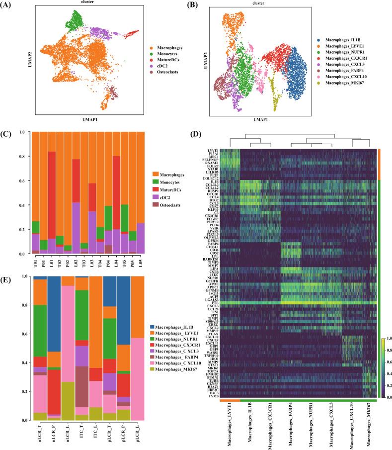 https://cdn.ncbi.nlm.nih.gov/pmc/blobs/6936/12322124/295907d97334/41419_2025_7877_Fig5_HTML.jpg