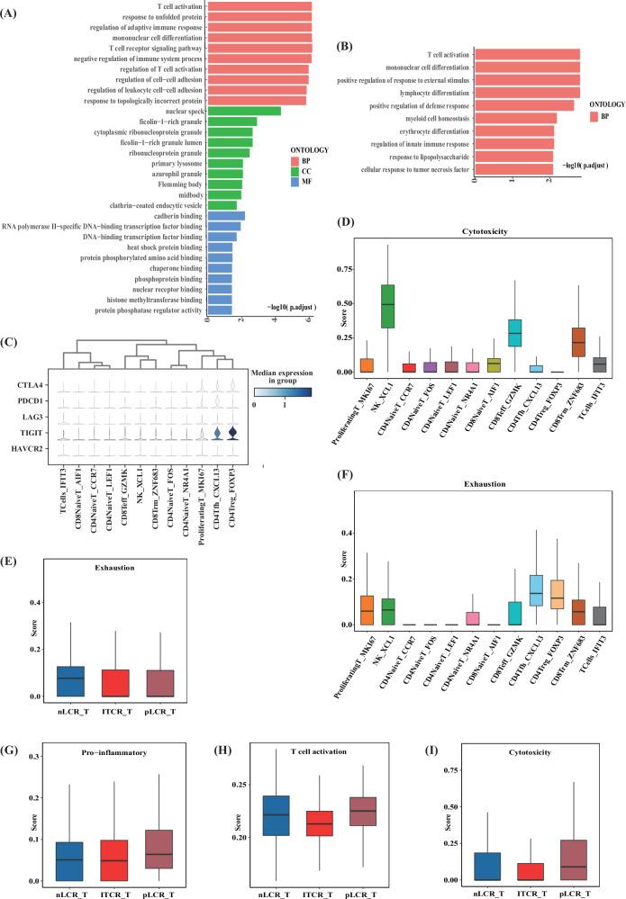 https://cdn.ncbi.nlm.nih.gov/pmc/blobs/6936/12322124/482c99243923/41419_2025_7877_Fig4_HTML.jpg