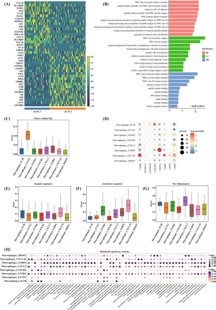 https://cdn.ncbi.nlm.nih.gov/pmc/blobs/6936/12322124/6815a28536f6/41419_2025_7877_Fig6_HTML.jpg