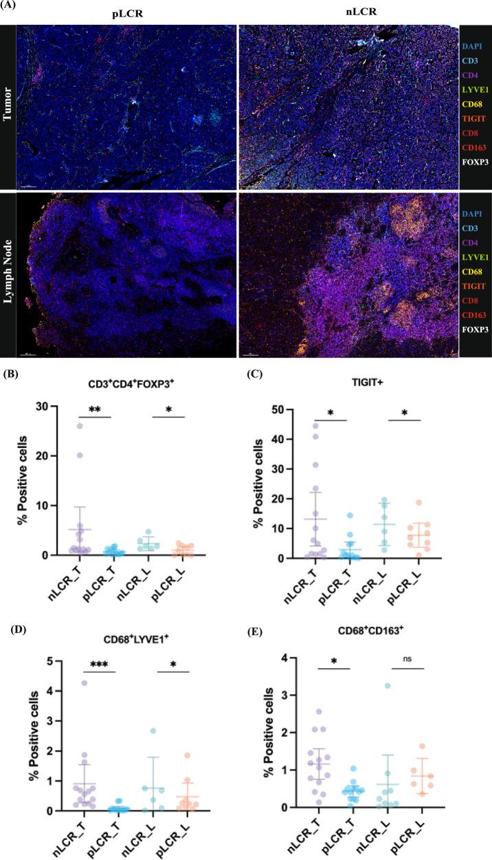 https://cdn.ncbi.nlm.nih.gov/pmc/blobs/6936/12322124/6b6556677118/41419_2025_7877_Fig7_HTML.jpg