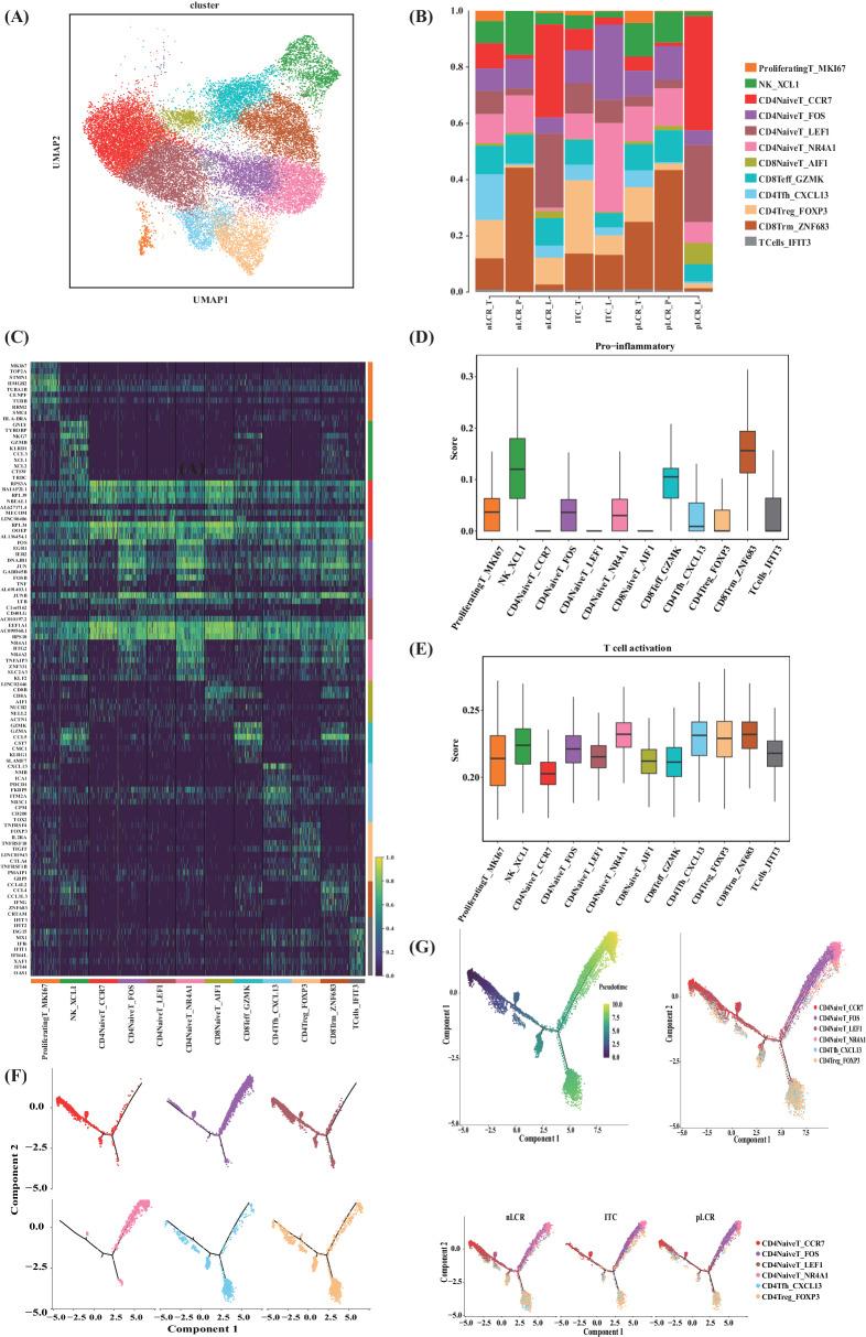 https://cdn.ncbi.nlm.nih.gov/pmc/blobs/6936/12322124/752c2bd6e5ec/41419_2025_7877_Fig3_HTML.jpg