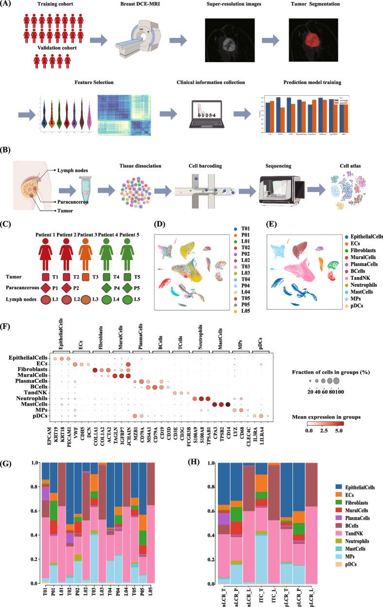 https://cdn.ncbi.nlm.nih.gov/pmc/blobs/6936/12322124/dd883eee144c/41419_2025_7877_Fig1_HTML.jpg