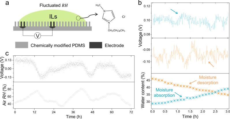 https://cdn.ncbi.nlm.nih.gov/pmc/blobs/6936/8917138/6df2ab478941/41467_2022_28998_Fig1_HTML.jpg