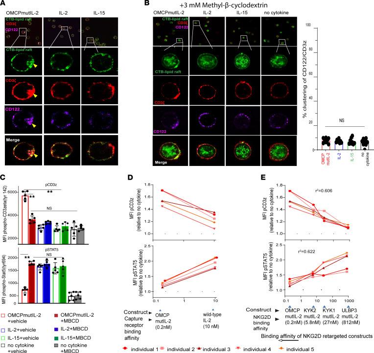 https://cdn.ncbi.nlm.nih.gov/pmc/blobs/6936/9220948/148ae938d250/jciinsight-7-158889-g180.jpg