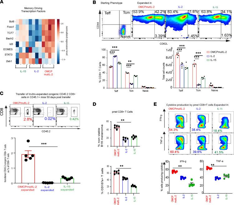 https://cdn.ncbi.nlm.nih.gov/pmc/blobs/6936/9220948/804bd9aead41/jciinsight-7-158889-g175.jpg
