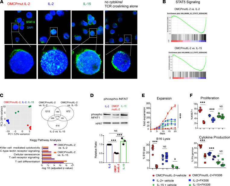 https://cdn.ncbi.nlm.nih.gov/pmc/blobs/6936/9220948/90e5c248a9fd/jciinsight-7-158889-g177.jpg