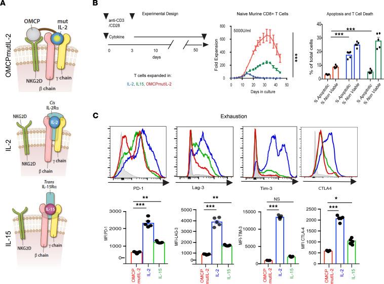 https://cdn.ncbi.nlm.nih.gov/pmc/blobs/6936/9220948/d569ad71db0c/jciinsight-7-158889-g174.jpg