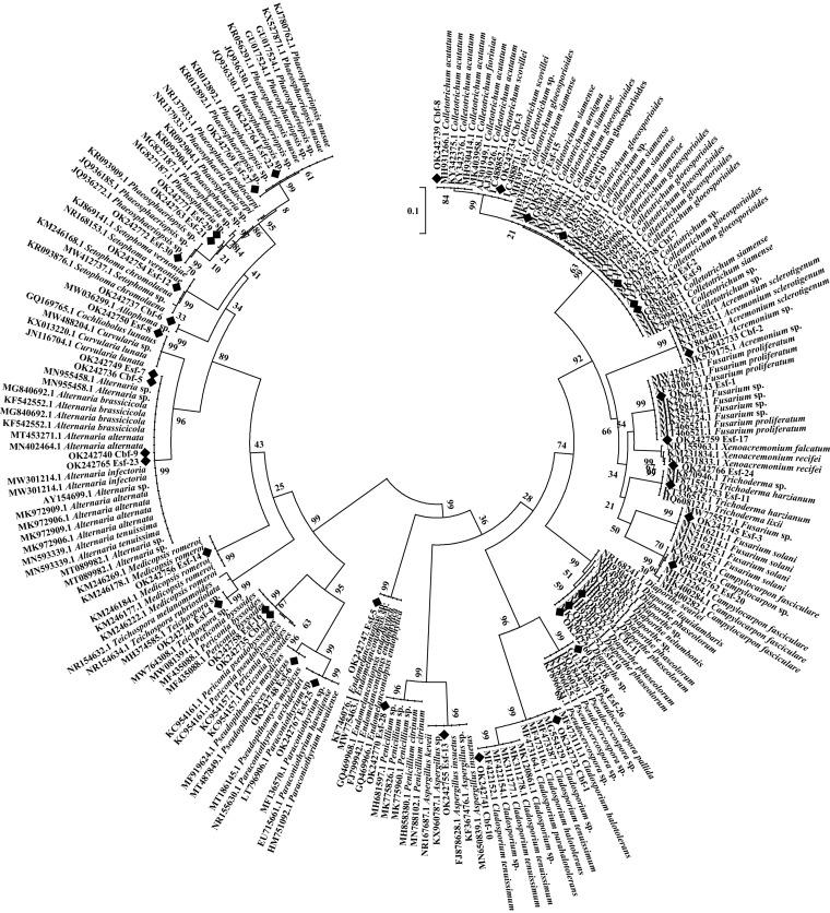 https://cdn.ncbi.nlm.nih.gov/pmc/blobs/693a/10269519/5ff2ba591fb0/spectrum.00080-23-f009.jpg