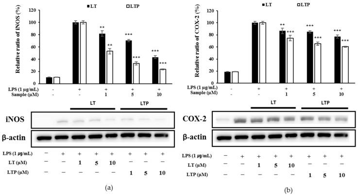 https://cdn.ncbi.nlm.nih.gov/pmc/blobs/693a/8659157/08265cf70c17/molecules-26-07393-g004.jpg