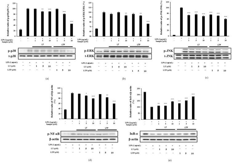https://cdn.ncbi.nlm.nih.gov/pmc/blobs/693a/8659157/ba9b2cfb7b95/molecules-26-07393-g006.jpg