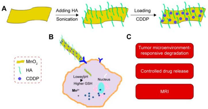 https://cdn.ncbi.nlm.nih.gov/pmc/blobs/693c/11643175/3f90f90bda53/molecules-29-05591-g005.jpg