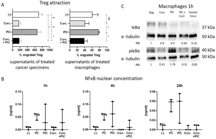 https://cdn.ncbi.nlm.nih.gov/pmc/blobs/693c/8001767/49805b87448e/cancers-13-01335-g005.jpg