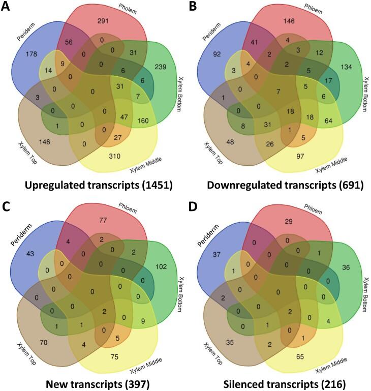 https://cdn.ncbi.nlm.nih.gov/pmc/blobs/693d/11349870/c79b9f7dc126/erae251_fig3.jpg