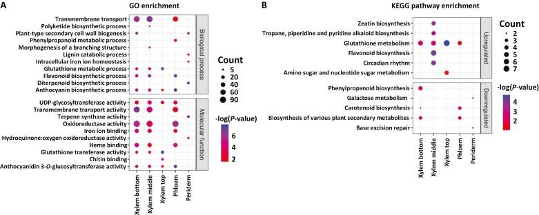 https://cdn.ncbi.nlm.nih.gov/pmc/blobs/693d/11349870/f6049f738bdf/erae251_fig4.jpg