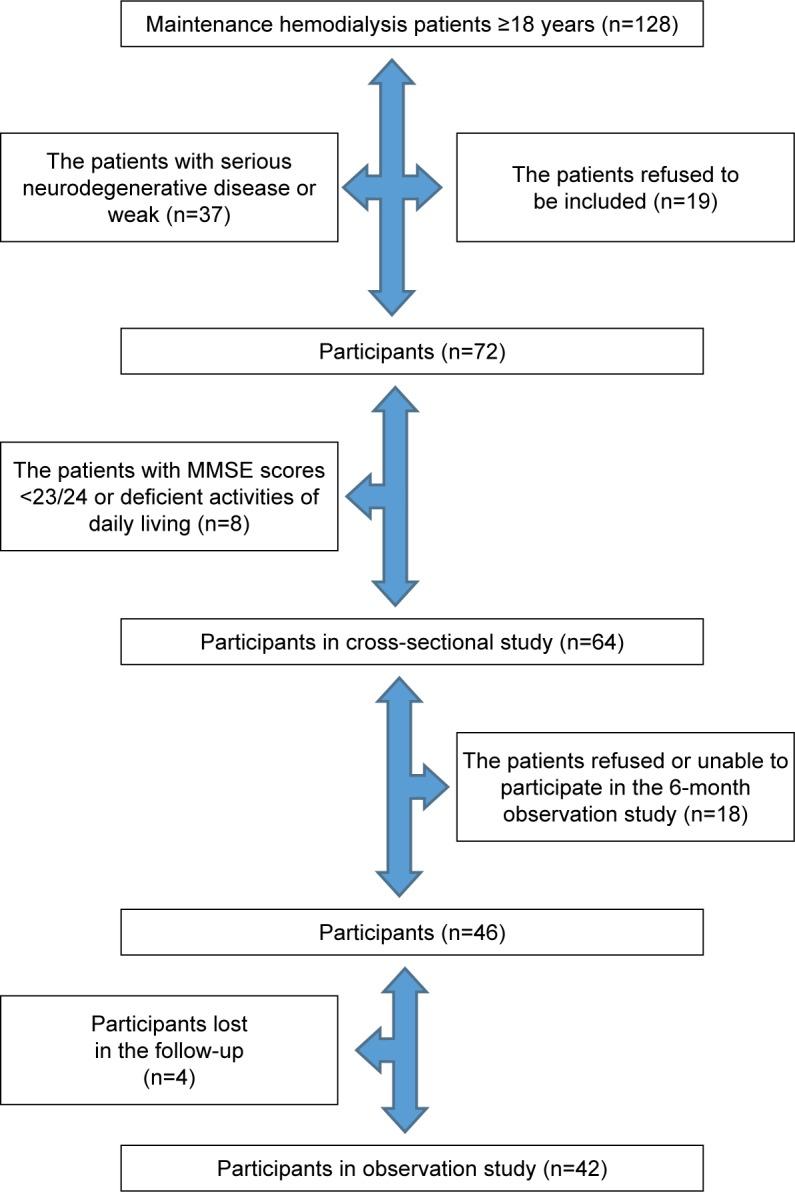 https://cdn.ncbi.nlm.nih.gov/pmc/blobs/693e/6304252/9569edbc1c76/cia-14-027Fig1.jpg
