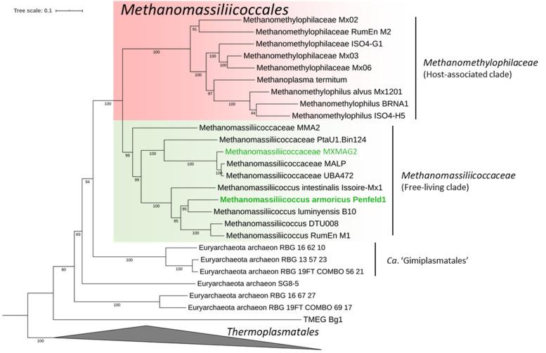 https://cdn.ncbi.nlm.nih.gov/pmc/blobs/693e/7824343/b70992239e4d/microorganisms-09-00030-g004.jpg