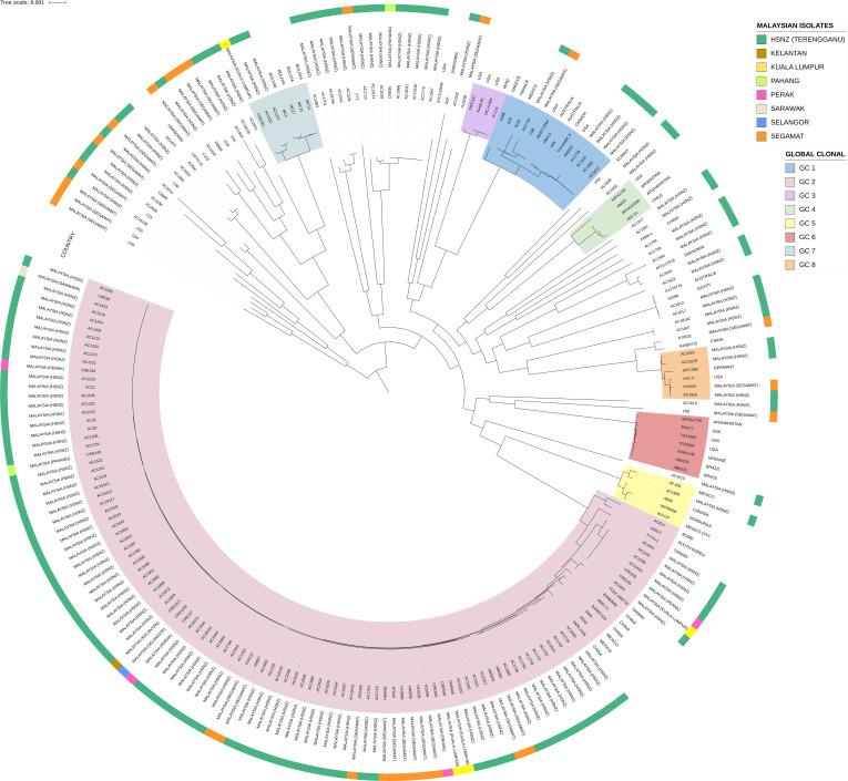 https://cdn.ncbi.nlm.nih.gov/pmc/blobs/693f/11798184/57983de38843/mgen-11-01345-g003.jpg