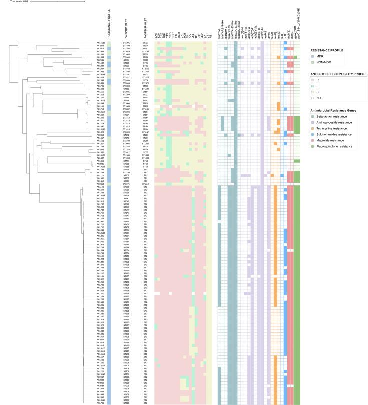 https://cdn.ncbi.nlm.nih.gov/pmc/blobs/693f/11798184/6735d16d78dd/mgen-11-01345-g004.jpg
