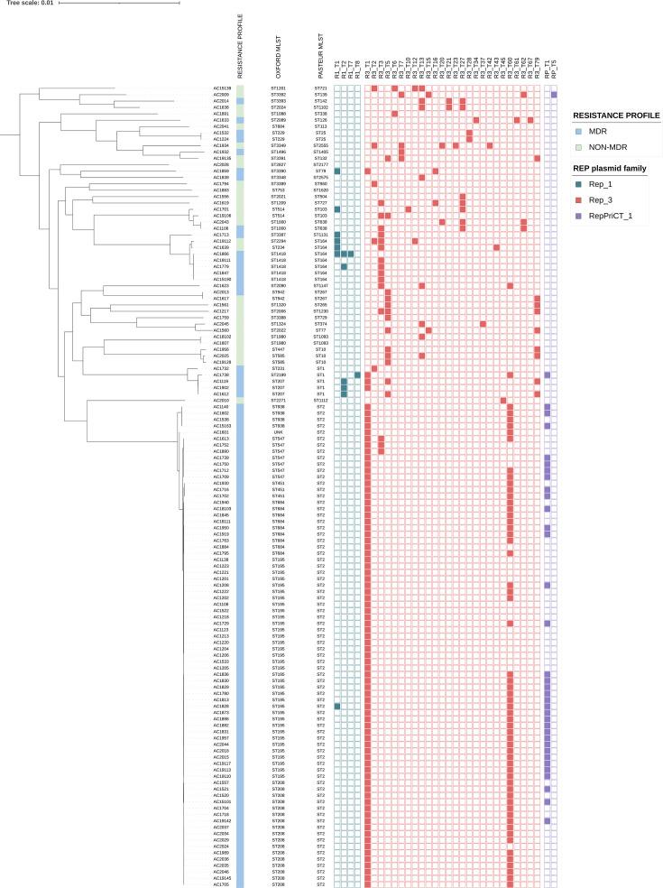 https://cdn.ncbi.nlm.nih.gov/pmc/blobs/693f/11798184/7dfd3f27225d/mgen-11-01345-g005.jpg