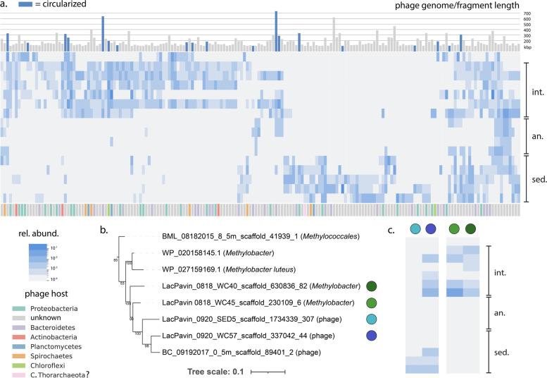 https://cdn.ncbi.nlm.nih.gov/pmc/blobs/693f/9875498/86298245b274/40168_2022_1416_Fig6_HTML.jpg