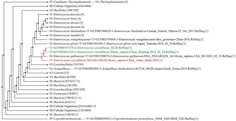 https://cdn.ncbi.nlm.nih.gov/pmc/blobs/6940/12380831/376516359bba/fmicb-16-1535506-g002.jpg
