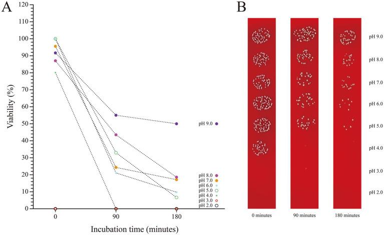 https://cdn.ncbi.nlm.nih.gov/pmc/blobs/6940/12380831/5e10f8fbca11/fmicb-16-1535506-g008.jpg