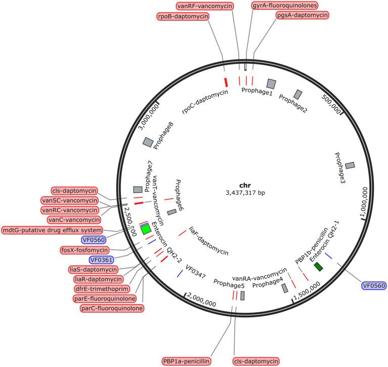https://cdn.ncbi.nlm.nih.gov/pmc/blobs/6940/12380831/f277d207aa8c/fmicb-16-1535506-g011.jpg