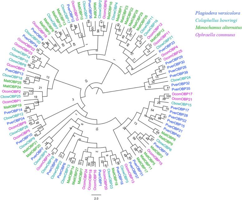 https://cdn.ncbi.nlm.nih.gov/pmc/blobs/6941/9773597/98cecbd853ab/12864_2022_9079_Fig2_HTML.jpg
