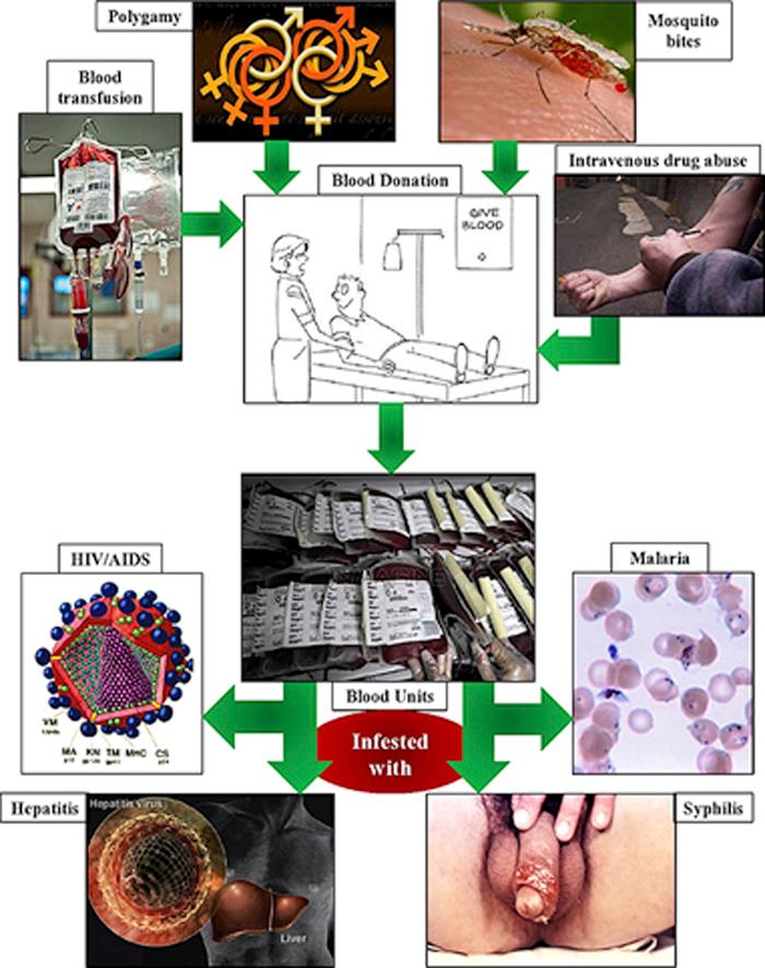 https://cdn.ncbi.nlm.nih.gov/pmc/blobs/6944/4936659/4cb81a4cdf82/fx1.jpg