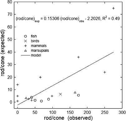 https://cdn.ncbi.nlm.nih.gov/pmc/blobs/6948/3269789/359ffbfc27a1/JGP_201110692_Fig5.jpg